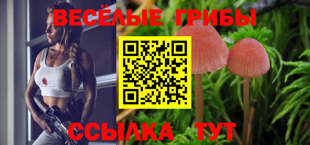 Галлюциногенные грибы Psilocybe  Вход с VPN  Новотроицк 